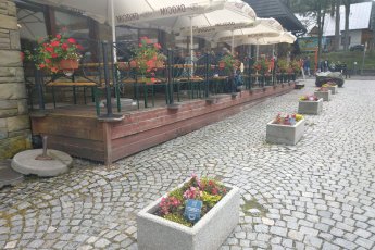 donice-zaadoptowane-przez-spolke-polskie-tatry-s-a_f