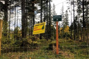 odnowienie-regla-dolnego_f